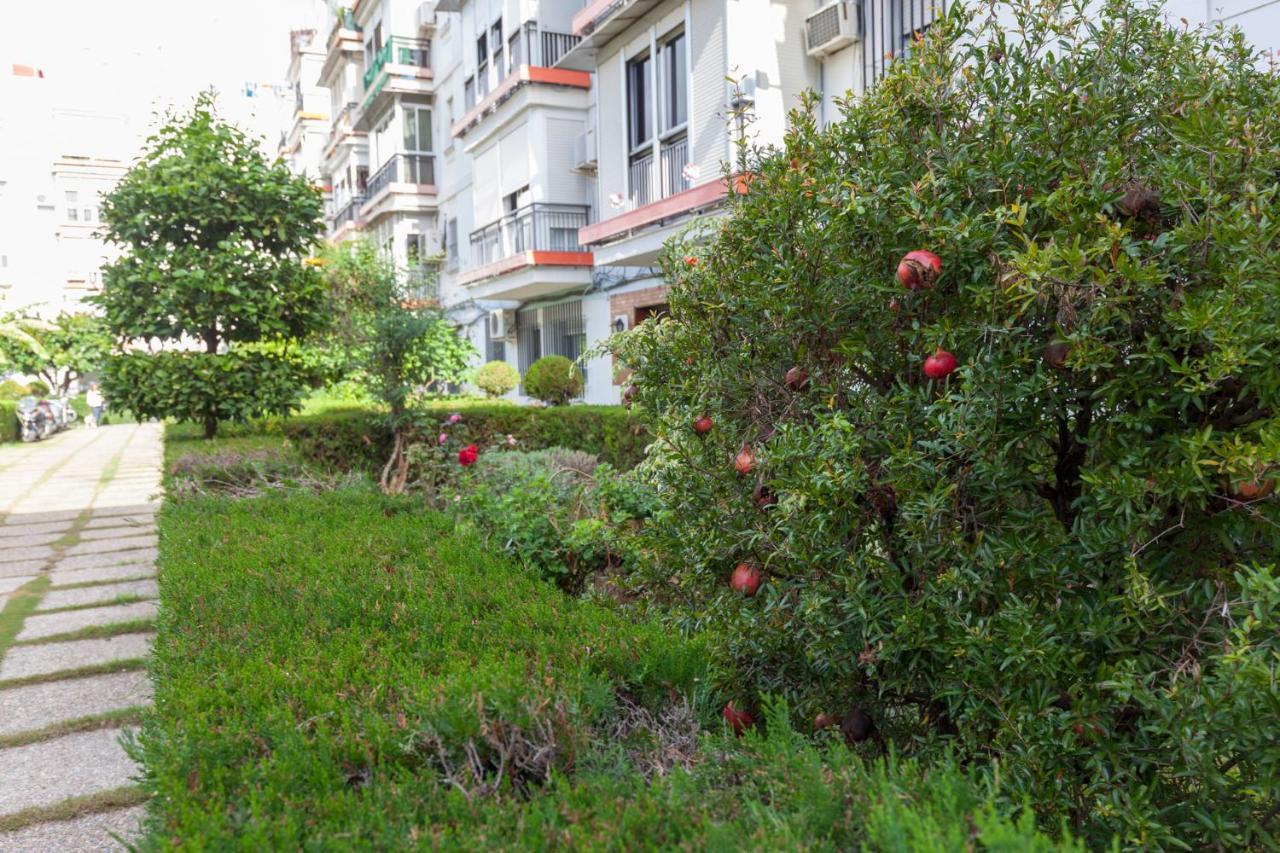 Fantastico Apto Recien 2 Hab-sevilla-triana Appartement *